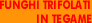 Funghi trifolati in tegame